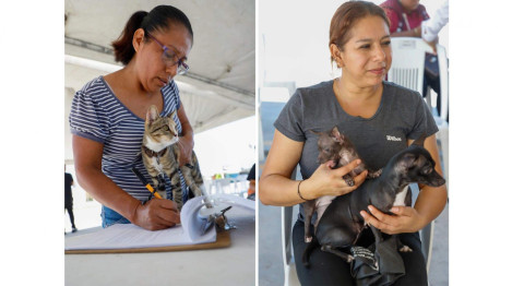 Programa EcoPatas cumple con esterilización de mascotas 