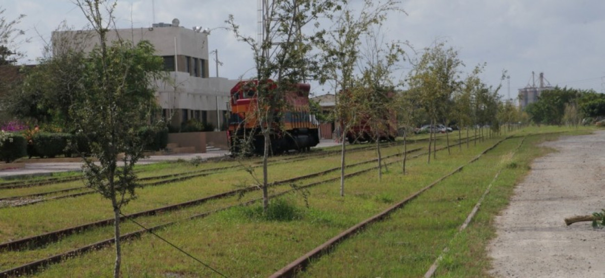 Gobierno Federal autorizó el proyecto del Paseo de las Américas