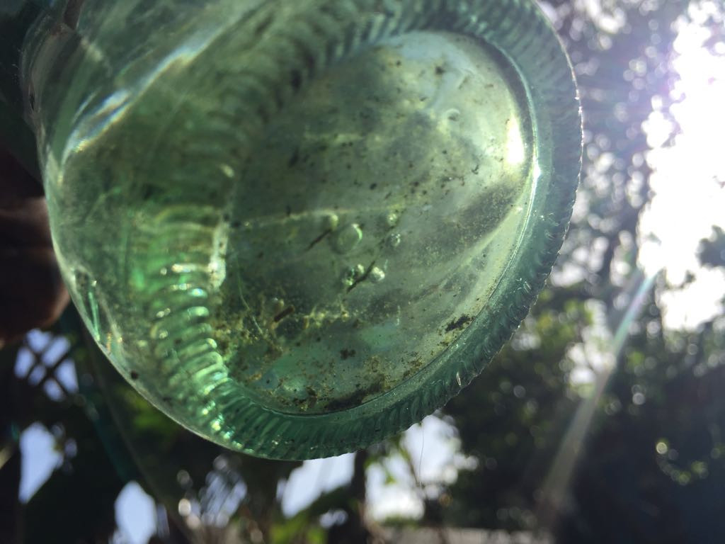 Sin tregua el sector salud contra el mosco transmisor del dengue