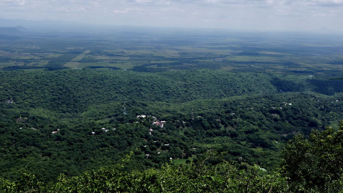 Protege Tamaulipas áreas naturales 