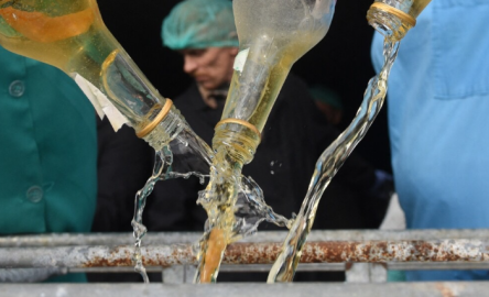 Mueren 28 personas por consumir alcohol adulterado en India