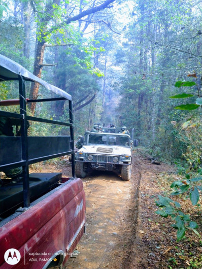Lluvias ayudan a combatir incendios en Tamaulipas 