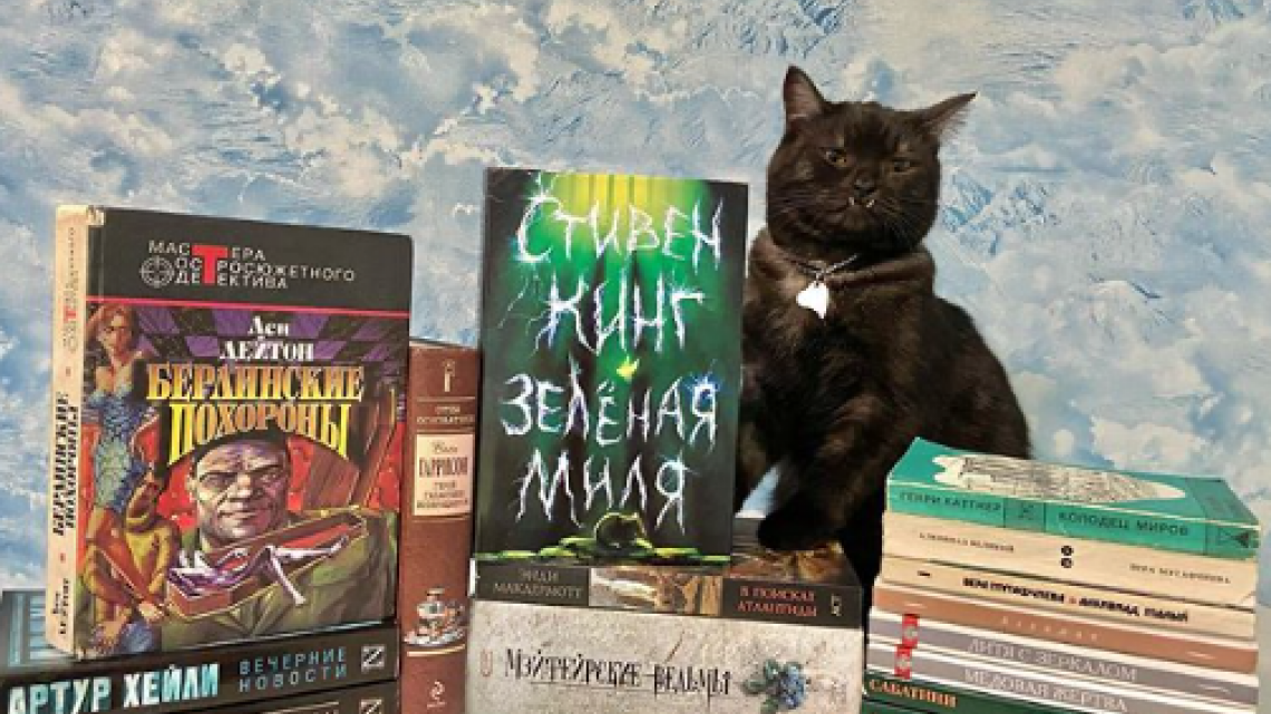 Gato 'vampiro' ayuda a vender libros para apoyar a los animales sin hogar