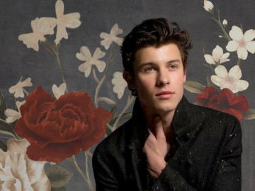 Shawn Mendes estrena su nuevo disco
