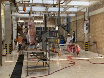 Incrementan servicios en el Rastro Municipal 