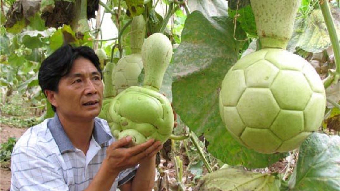 Las frutas con forma alcanzaron un nuevo nivel 