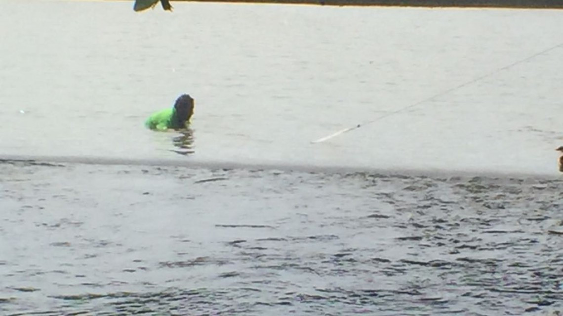 Pescadores de lagunas interiores, arriesgan su vida, al trabajar cerca de los cocodrilos