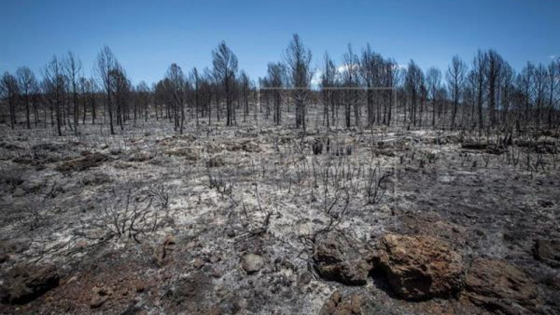 Incrementan daños por incendios en Tamaulipas
