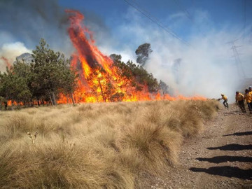 116 incendios activos en el pais, son 4 victimas hasta el momento: AMLO