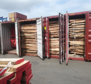 Profepa impide ingreso de madera a Tamaulipas