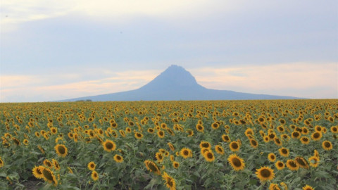 Turismo Tamaulipas visualiza futura reapertura sostenible y solidaria