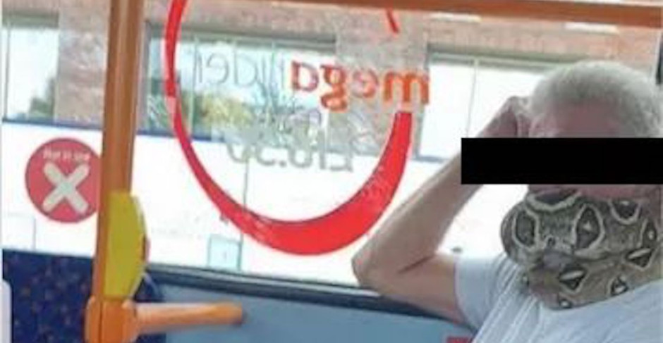 Captan a un hombre usando una serpiente como cubrebocas