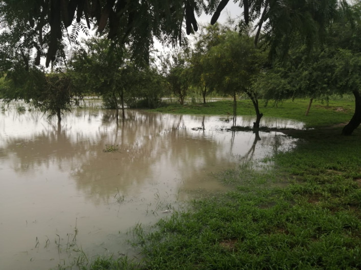 La creciente del Rio Bravo se mantendrá entre los 7 y 8 metros no mas,: Guillermo Lash
