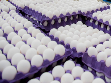 Millones de huevos son retirados por contaminación bacterial