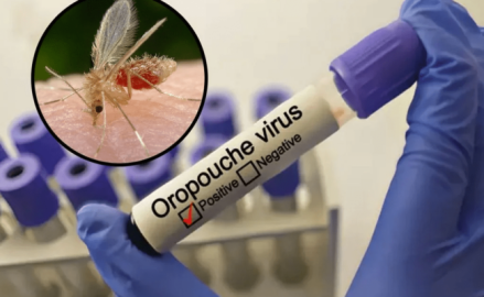 Alerta por brote de virus oropouche en Latinoamérica; confirman muertes