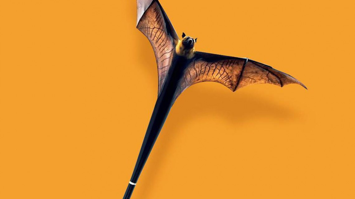 13 imágenes que engañarán a tu cerebro