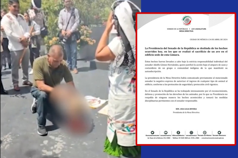 Hacen sacrificio en el Senado de la República como ofrenda a Tlaloc