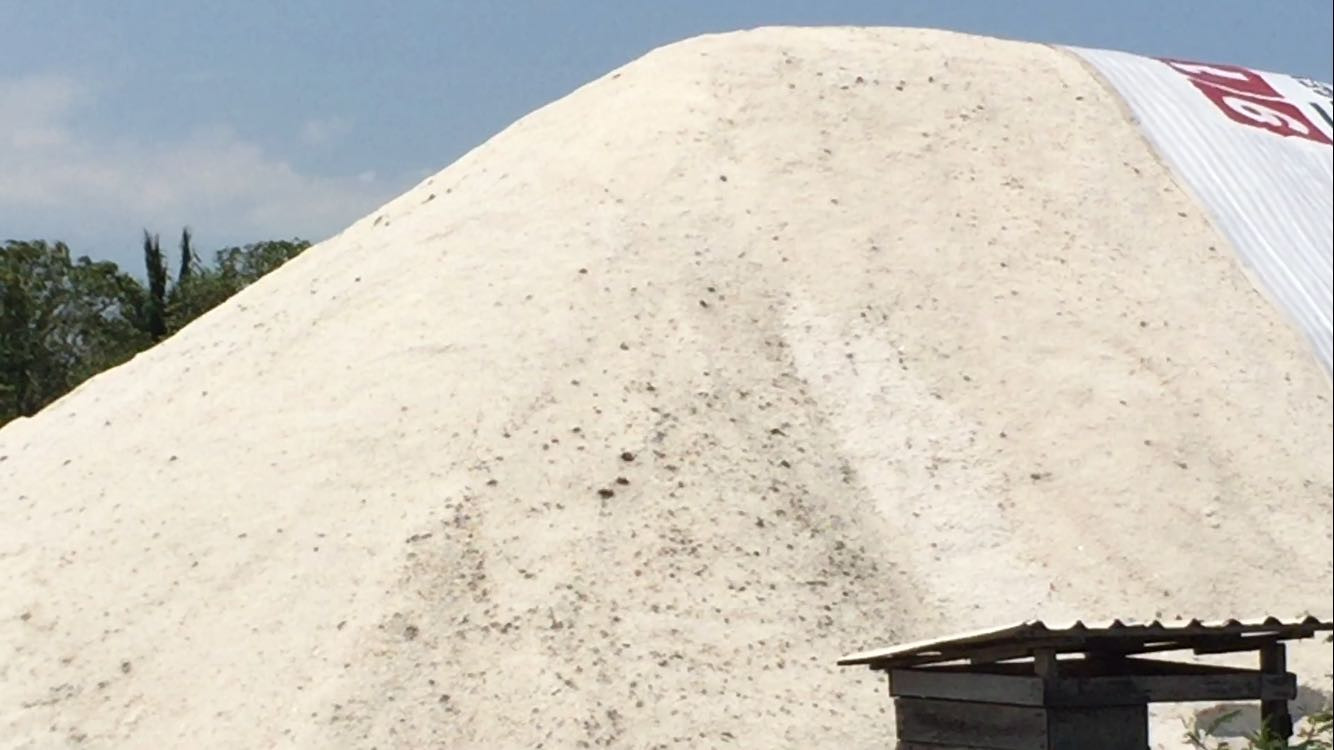 En crisis la industria salinera de Altamira