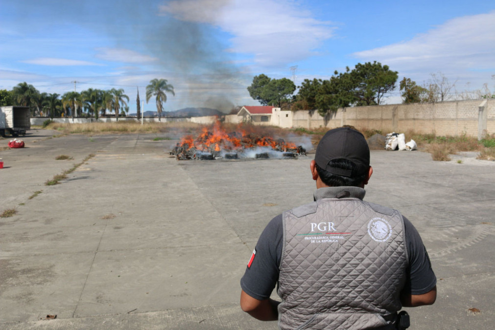 En enero decomisaron más de 32 mil kilos de drogas