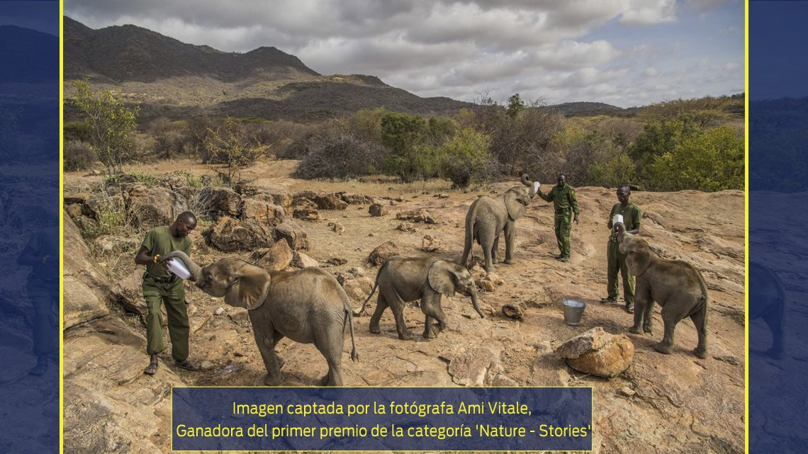 Esta es la imagen ganadora del World Press Photo 2018
