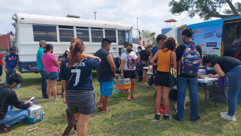 Ofrecerá en audiencias esterilización gratuitas para perros y gatos 