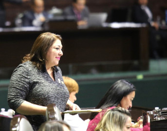 Esta semana discutiremos el tema de la Prisión Preventiva Oficiosa: Diputada Adriana Lozano