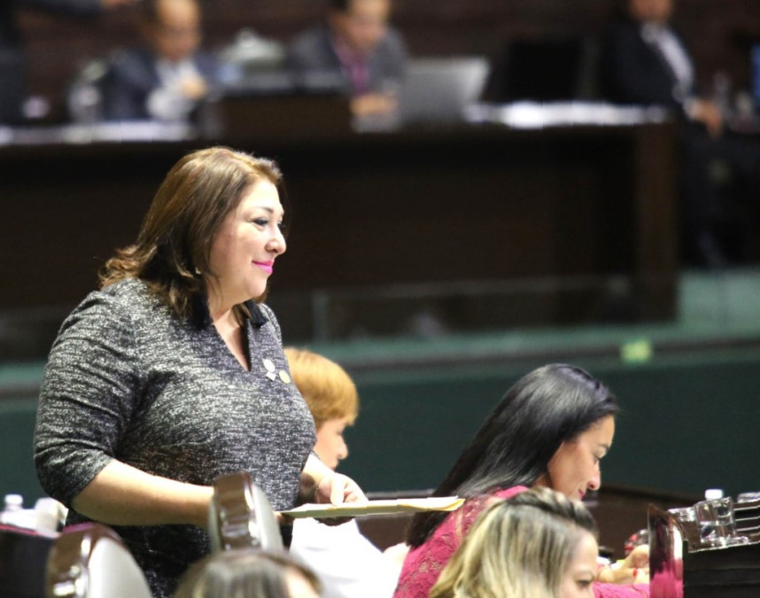 Esta semana discutiremos el tema de la Prisión Preventiva Oficiosa: Diputada Adriana Lozano