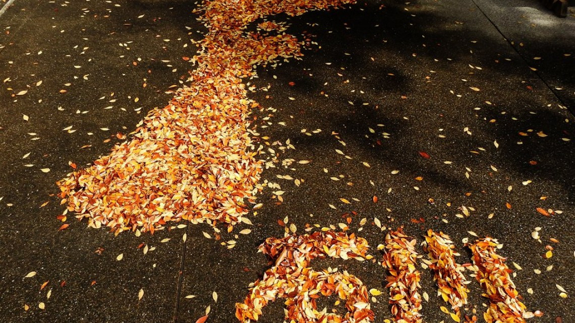 Obras de arte con hojas caídas en Japón