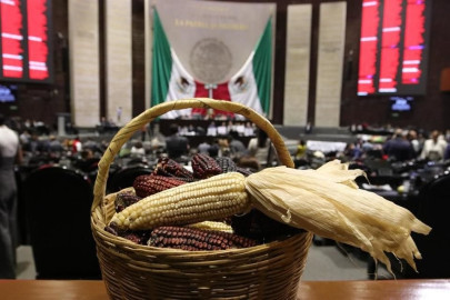 Diputados aprueban reforma para prohibir el cultivo e importación del maíz transgénico