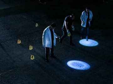 Suman 16 ejecuciones este fin de semana en Sinaloa