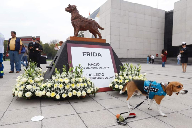 Dan último adiós a Frida
