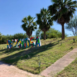 Mejora siembra de agave imagen urbana de Reynosa