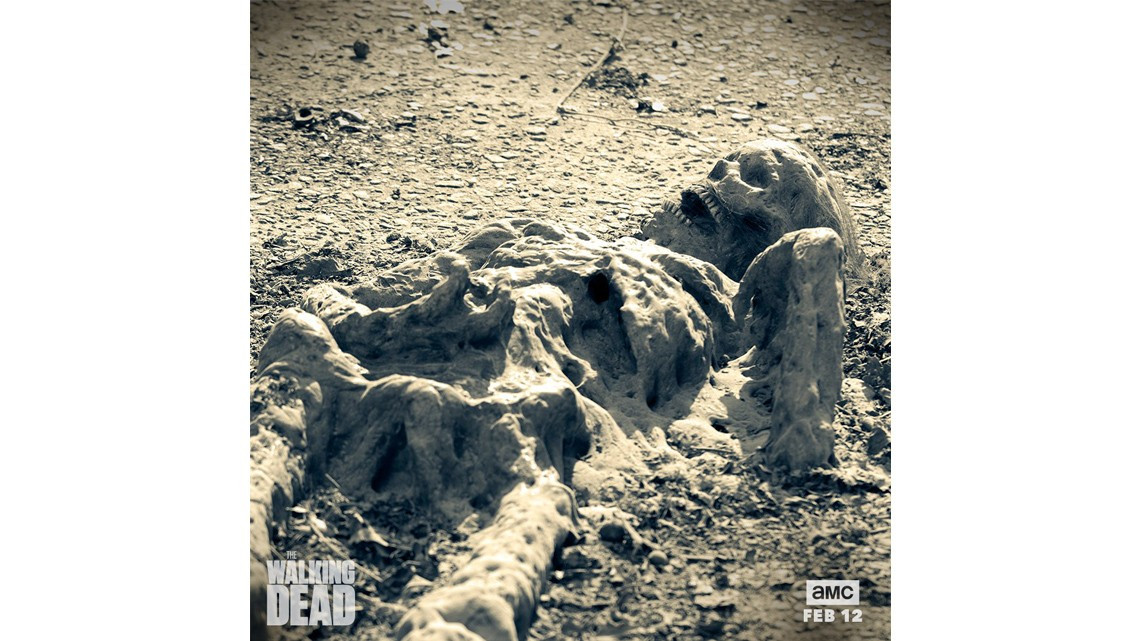 Primeras imágenes del regreso de TWD