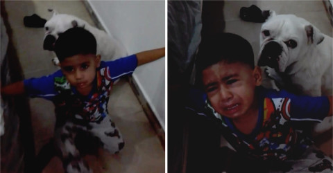 Niño defiende a su perrito y se vuelve viral en redes