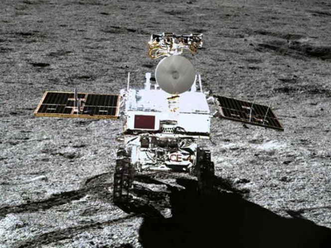 Esperan semilla de algodón brote en la luna