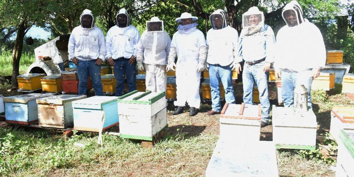 Gobierno del Estado retoma el areteo de colmenas como una medida de ordenamiento