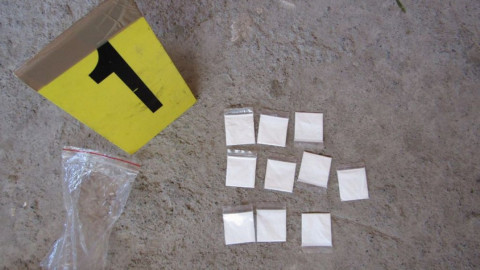 Descubren maltrato animal y probables sustancias en zoológico