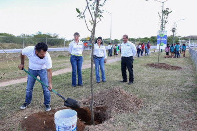 Celebrarán día nacional del árbol en Nuevo Laredo