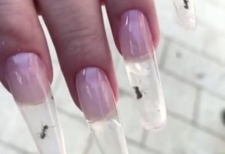 Llegan las uñas de acrílico ¡con hormigas vivas!