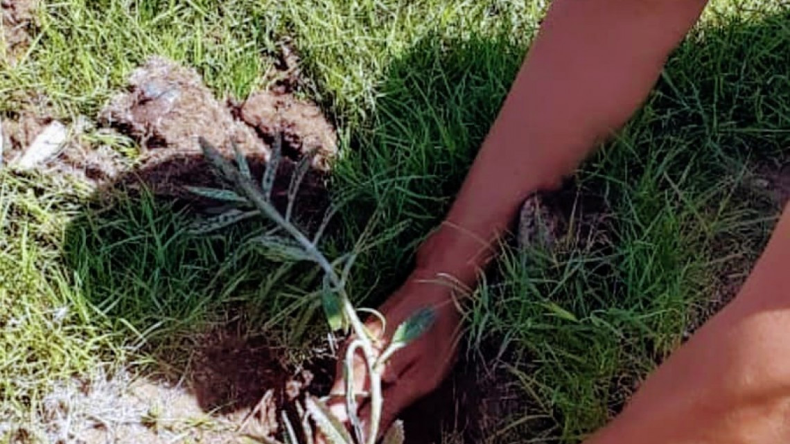 GobTam realiza limpieza en Parques y Centros de Bienestar