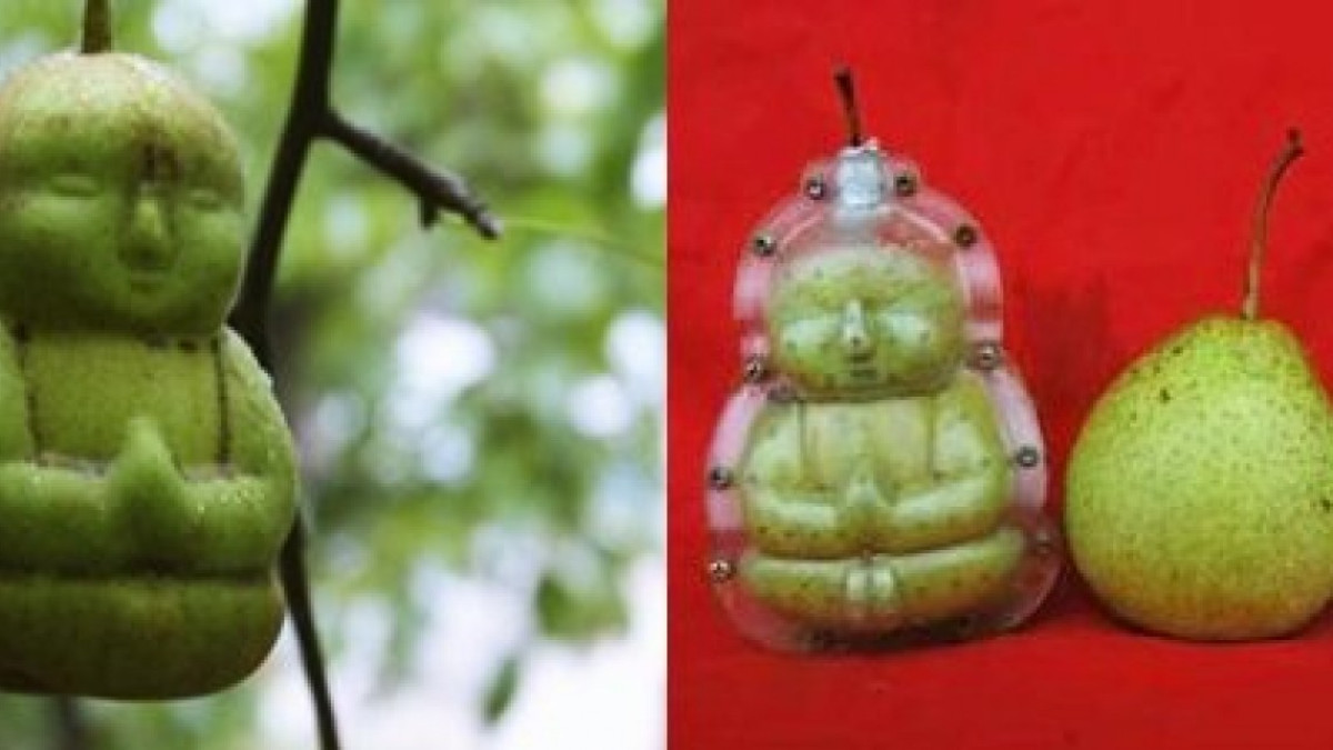 Las frutas con forma alcanzaron un nuevo nivel 