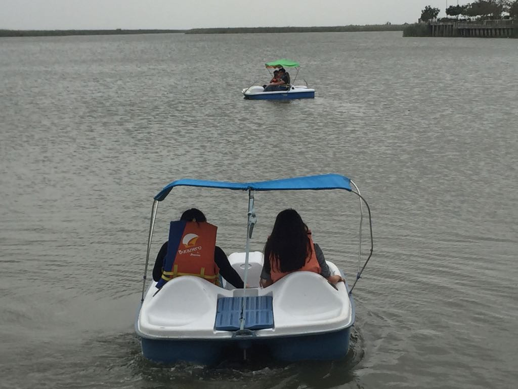 Necesario dar apertura al desarrollo de energías limpias dentro de la industria