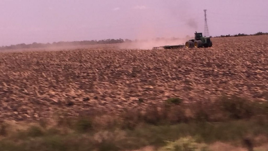 En riesgo de perder la siembra de sorgo por falta de lluvias