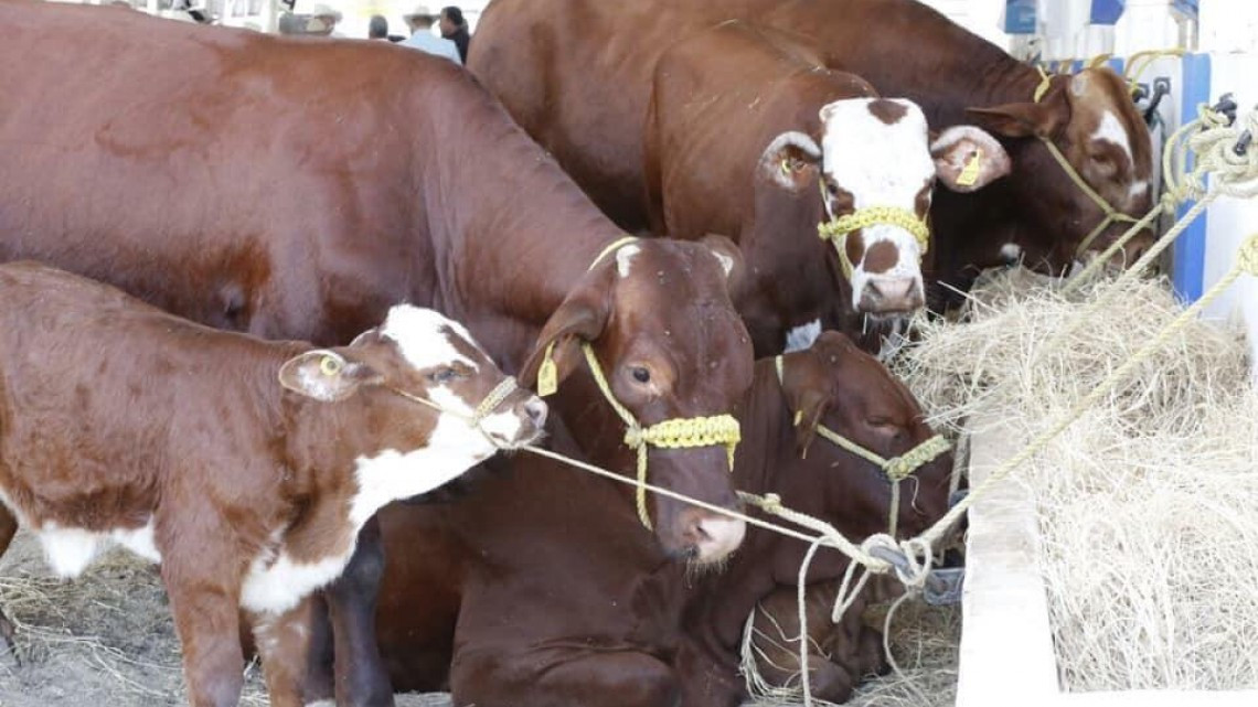 Refrenda estado compromiso con el sector pecuario