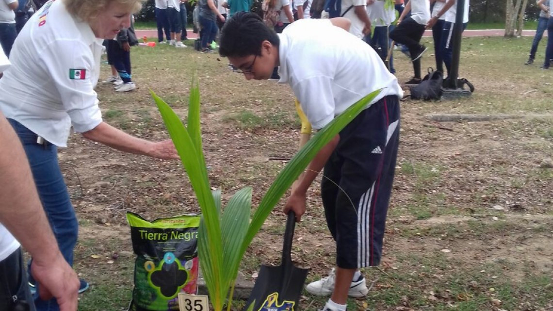 Siembran 900 arbolitos en laguna del Carpintero