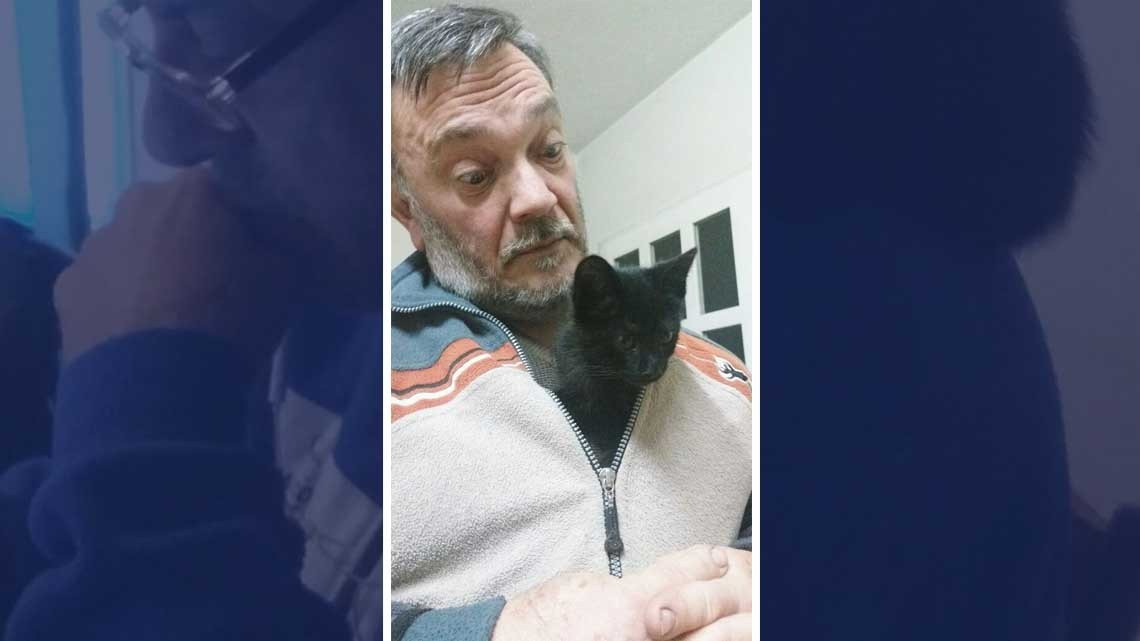 ¡No quiero animales!, días después...