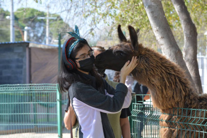 Zoológico y Acuario de Nuevo Laredo tienen horario especial durante invierno 