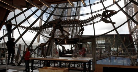 Subastan en la torre Eiffel esqueleto de desconocido dinosaurio