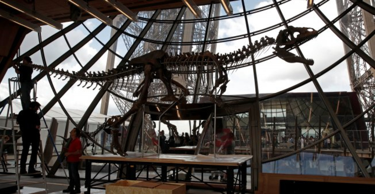 Subastan en la torre Eiffel esqueleto de desconocido dinosaurio