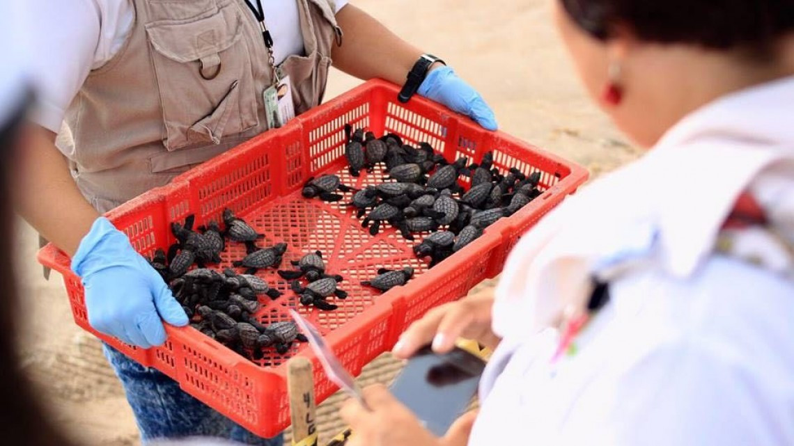 Impulsa Ayuntamiento programa para proteger la biodiversidad